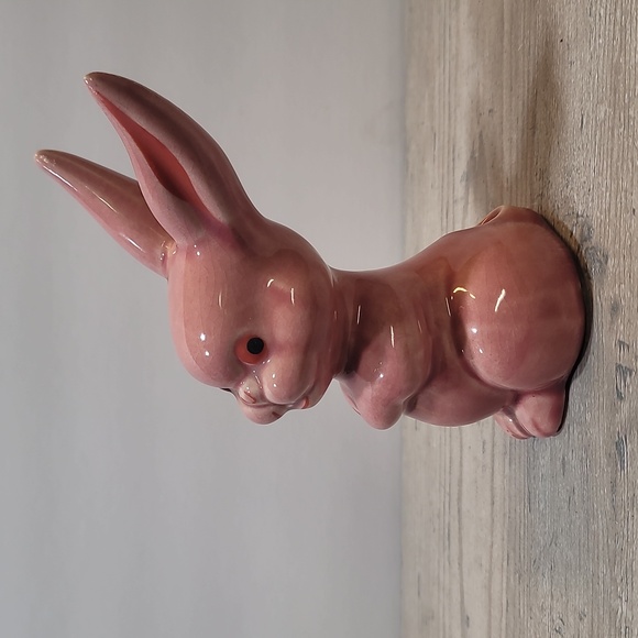 Red Rabbit - Picture 3 of 6